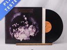 Van Morrison Enlightenment LP Album Vinyl Record 1990 847 100-1 Polydor - EX/EX