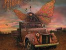 Dirty Side Down by Widespread Panic (2xLP, 2010) - Unsealed, Teat Played.