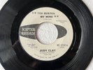 JUDY CLAY You Busted My Mind/He's the Kind of Guy SCEPTER 12157 northern soul 7