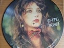KATE BUSH - Interview Limited Edition Picture Disc BAK 2006