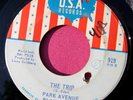 PARK AVENUE PLAYGROUND - The Trip / I Know - Rare Garage Psych 45 rpm - USA 919
