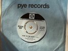 STATUS QUO - RARE UK BLUE PYE 7