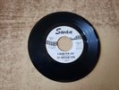 1960s VG PROMO American Teens A Brand New Love/SHAKE 4246 SEE NOTES  45