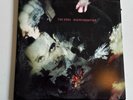 Disintegration by Cure (Record, 2010)