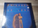 Shere Springtime In Italy Sealed Italo Freestyle Disco High Energy Polymarch
