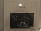 JOY DIVISION CLOSER FACTORY (US) FACTUSVI US VINYL LP Record