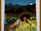 Brittany Howard – What Now LP On Yellow Translucent Vinyl Alabama Shakes
