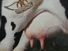 Aerosmith Get A Grip 2xLP, Album 1993 Arena Rock, Glam, Hard Rock (VG+ / VG)