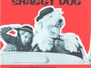 DISNEY-SHAGGY DOG-PICTURE SLEEVE + 45--PS--PIC--SLV