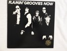 Flamin' Groovies 