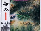 PINK FLOYD A SAUCERFUL OF SECRETS EMI EMS80318 Japan OBI INSERT VINYL LP