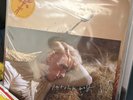 Patrick Wolf - Crying The Neck  (The Deluxe Artwork Edition) Vinyl + Signed Card