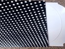 Beach House Bloom White 2 x Vinyl LP 45 RPM Special Cut - US Loser Edition - M/M