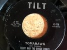 HEAR SAVAGE  1960 OHIO INSTRO ROCKER - TEDDY & THE ROUGH RIDERS - TOMAHAWK -TILT