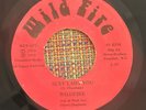 WILDFIRE - Sexy Lady You / RARE ISLAND DISCO BOOGIE TRINIDAD 45 PRIVATE