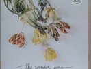 The Wonder Years – Burst & Decay (An Acoustic EP , Vinyl, 12