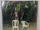 Bad Bunny DeBÍ TiRAR MáS FOToS DTMF Double Vinyl Gatefold FREE SHIPPING