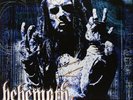 Behemoth - Thelema 6 [New Vinyl LP]