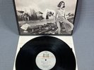 Rush - Permanent Waves Orig 1980 Vinyl LP Mercury SRM 1-4001 VG++
