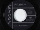 Garage Psych Fuzz 45 - Sanz, Incorporated - I Just Want You - Skoop VG+