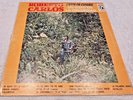 VINTAGE LP - Roberto Carlos - Un Gato en la Oscuridad - VHTF 1972