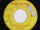 Rockabilly 45 ALLEN PAGE She's The One That's Got It MOON HEAR h