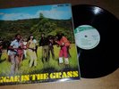 STUDIO ONE REGGAE LP - Reggae in the Grass - Bob Andy, Larry & Alvin, John   VG+