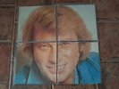 johnny hallyday