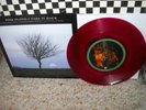 PINK FLOYD-Take It Back/Astronomy Domine-OR.OOP RED VINYL NM- 45 +PICTURE SLEEVE