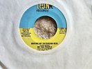 70’s Soul We The People Making My Daydreams Real Lion-164 Shiny M-