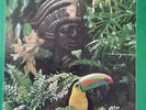 WALTER WANDERLEY: Rain Forest (1966) MINT vinyl LP+bonus CD TESTED