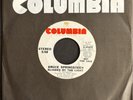 Bruce Springsteen Blinded By The Light Rare Stereo / Mono Promo Columbia 45
