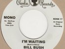 Bill Bush I'm Waiting Paula Demo Soul Northern Motown