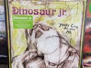 SEALED Dinosaur Jr - You're Living All Over Me / Newbury Comics /500 Green Vinyl