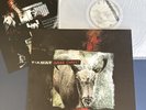 Tiamat – Judas Christ 2015 Transparent LP Vinyl NM