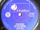 M. D. Rythm Success - Kumatongo - ZIMBABWE Super Rare Psych Uptempo Instrumental