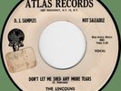 LINCOLNS Don't Let Me Shed Any More Tears / Pleasin' You 45rpm Atlas '58 doo-wop