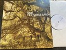 TRAVIS THE INVISIBLE BAND ISOM 25 LP ORIGINAL  UK