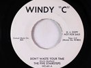 Northern Soul 45 - Five Stairsteps - Don't Waste Your Time - Windy C VG++ promo