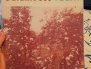 Galaxie 500 Albums - TODAY & ON FIRE