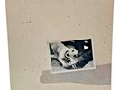 Fleetwood Mac - Tusk (2 LP *SILVER* vinyl record) stevie nicks NEW