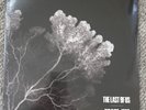 Pearl Jam The Last Of Us Ten Club Exclusive EP Vinyl LP IN HAND