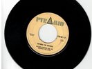 #141 SKA REGGAE 45 PYRAMID LABEL ROLAND ALPHONSO 