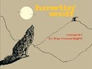 Howlin Wolf Moanin' In The Moonlight + 4 Bonus Tracks Records & LPs New