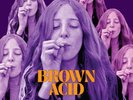 Various Artists - Brown Acid: The Nineteenth Trip NEW Vinyl