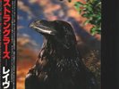 LP The Stranglers The Raven 3D SLEEVE + OBI, INSERT JAPAN NEAR MINT United