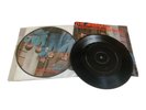 The Animals – The House Of The Rising Sun Picture Disc + Miss Press - Vinyl