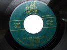 RAY ARLO 45 'SHE'S MY STEADY DATE' USA CASTLE FRANTIC 1958 ROCKABILLY JIVER VG++
