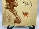 Jimi Hendrix Crash Landing Vintage Vinyl LP 1975 Warner Bros Record MS-2204