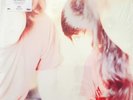 My Bloody Valentine - Isn't Anything LP Vinyl Record Fully analog cut SEALED NEW